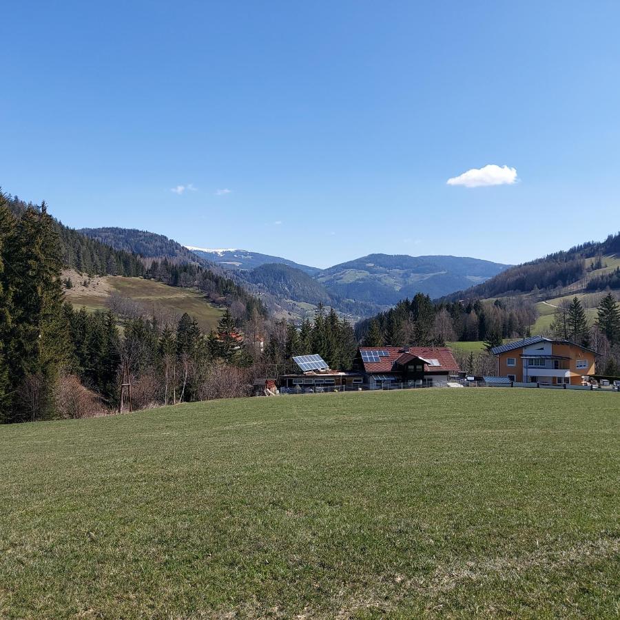 Greimblick Sankt Peter am Kammersberg Exterior foto